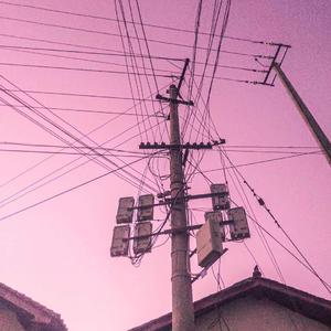 在线免费观看黄91
