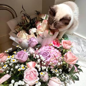 在线免费观看黄91
