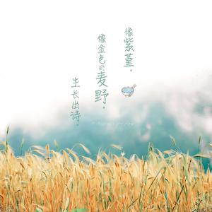 在线免费观看黄91
